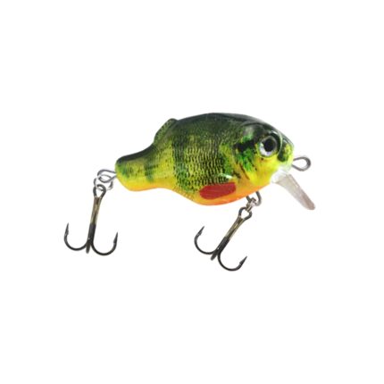 H126 Guppy